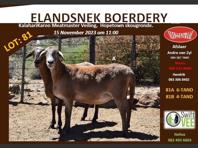 RSL 81 A | ELANDSNEK BOERDERY