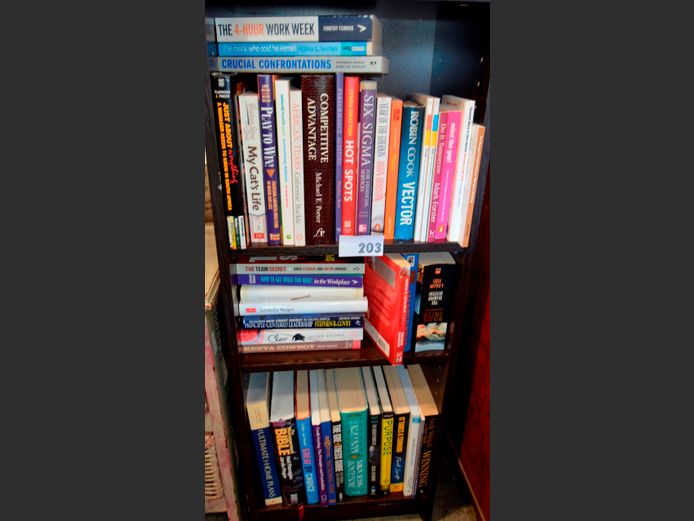 LOT ON 3 SHELVES: NOVELS, etc