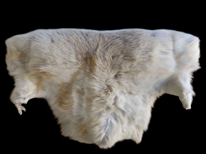 Luxurious Reindeer Skin Hide