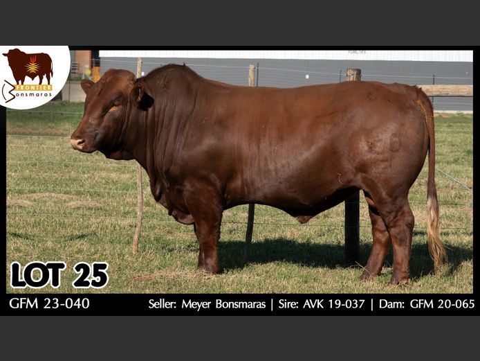GFM 230040 | MEYER BONSMARAS