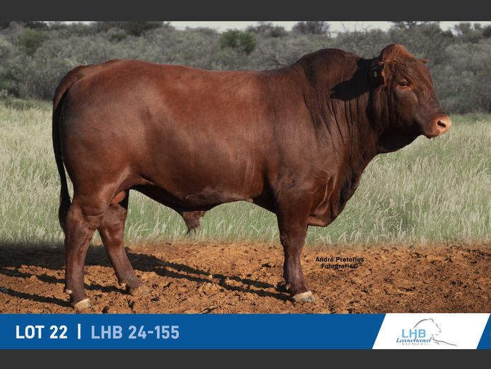 LHB240155 | LEEUHEUWEL BOERDERY (EDMS) BPK
