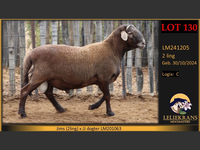 LM241205 | LELIEKRANS MEATMASTERS