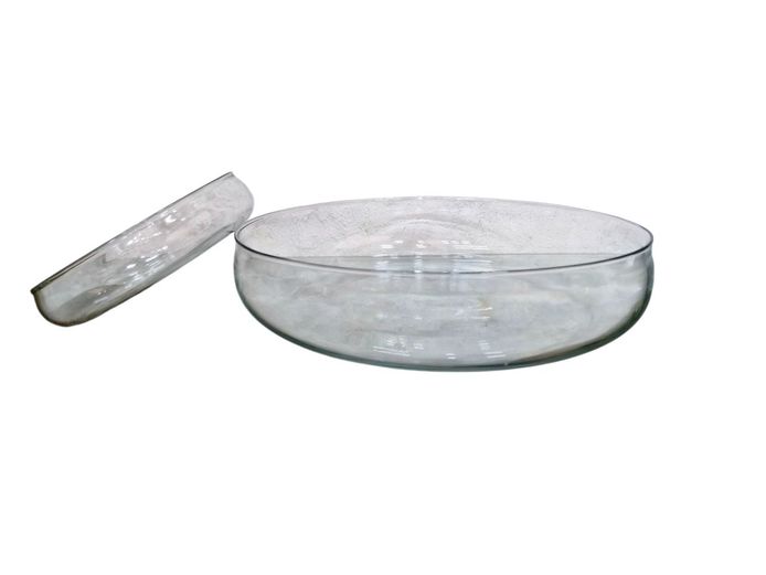 Set of Clear Glass Terrarium Bowls