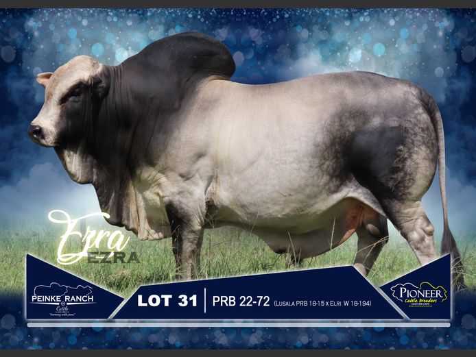 PRB 220072 | PEINKE RANCH