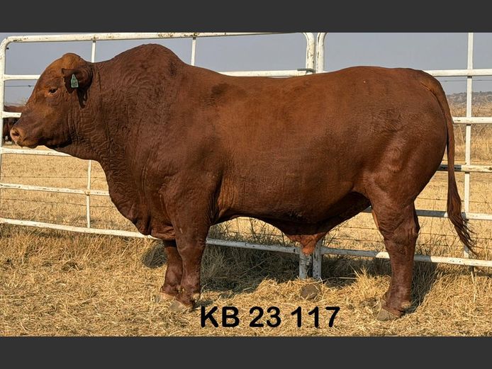 KB23117 | KEEVERSFONTEIN BDY