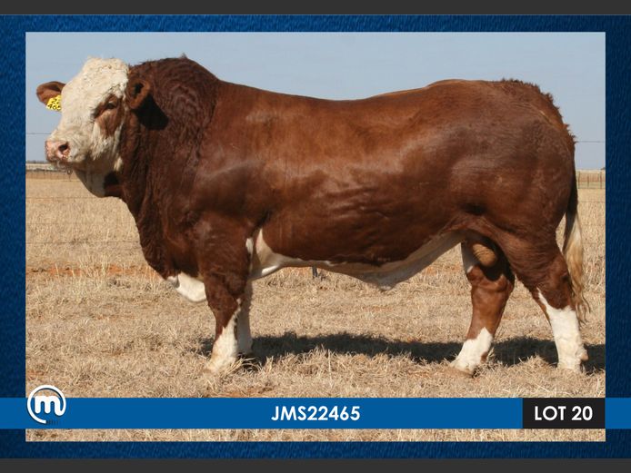 JMS22465