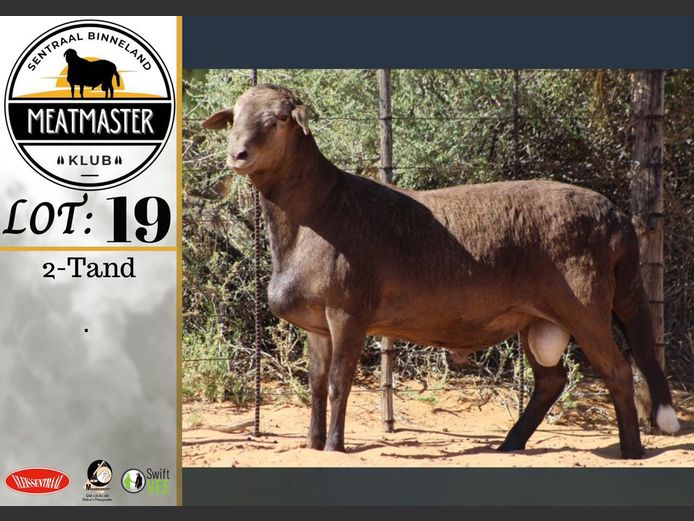 PS 114 | Vrede Meatmasters