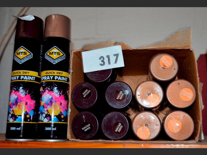 LOT: 12 x TINS SPRAY PAINT