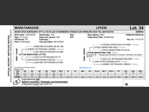 genetic_data