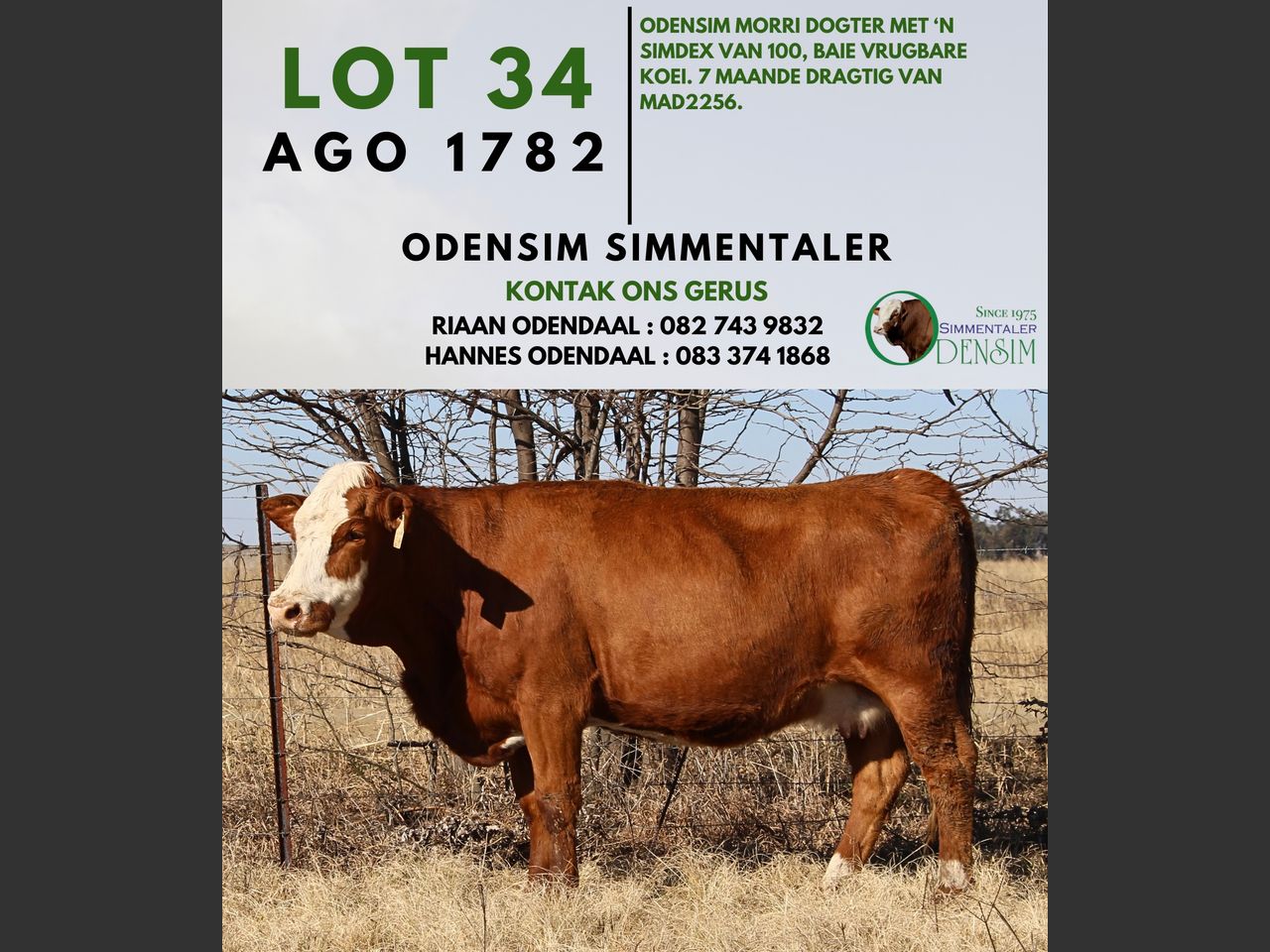 images