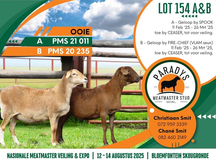 PMS 210011 | PARADYS MEATMASTER STOET