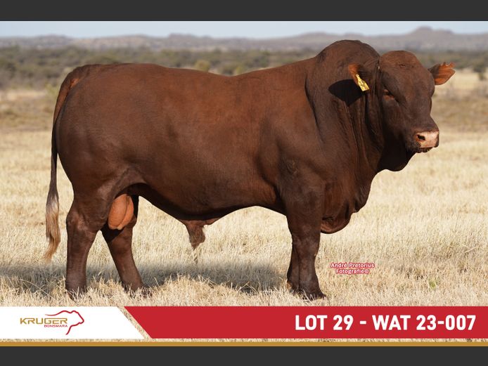 WAT230007 | KRUGER BOERDERY