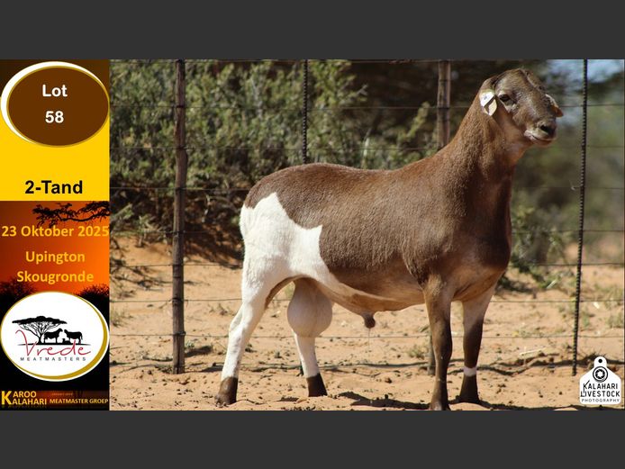 PS 58 | Peter & Christia Scholtz - Vrede Meatmasters