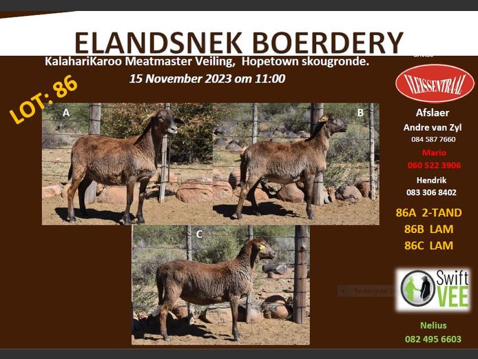 RSL 86 B | ELANDSNEK BOERDERY