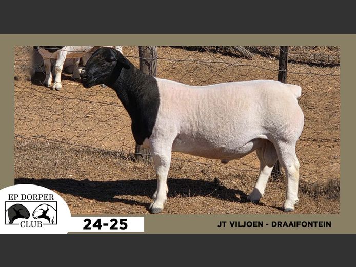 24-25  |  JT VILJOEN - DRAAIFONTEIN