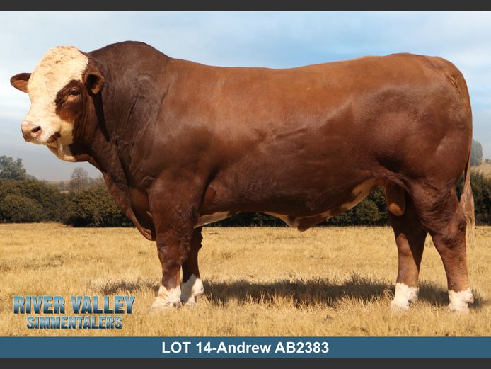 AB2383 | PA ABRAHAMSE