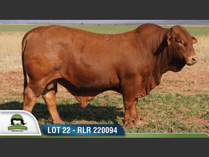 RLR 220094 | RHENOSTERVALLEI