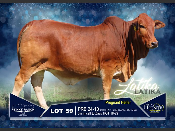 PRB 240010 | PEINKE RANCH