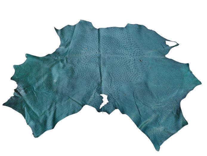 Genuine Green Ostrich Leather Game Hide Skin