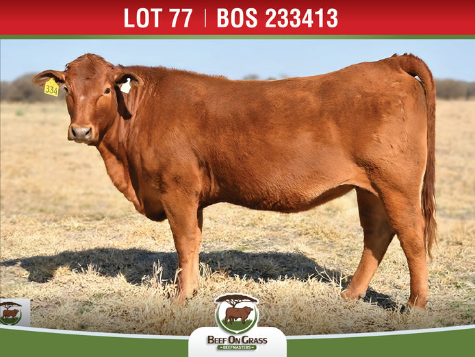 BOS233413 | BEEF ON GRASS PTY LTD