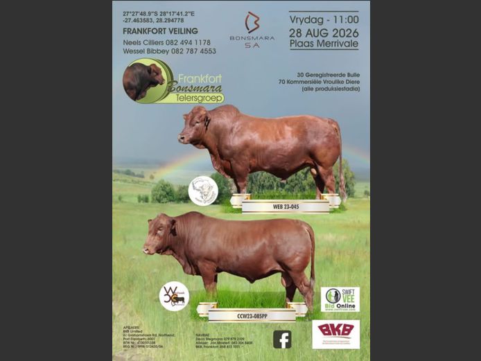 FRANKFORT BONSMARA TELERSGROEP VEILING