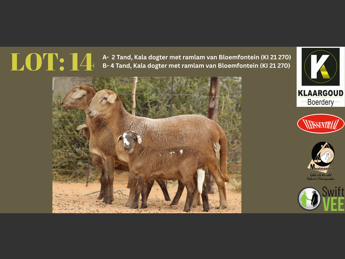CP 23 277 | Chris & Christia - Klaargoud Boerdery
