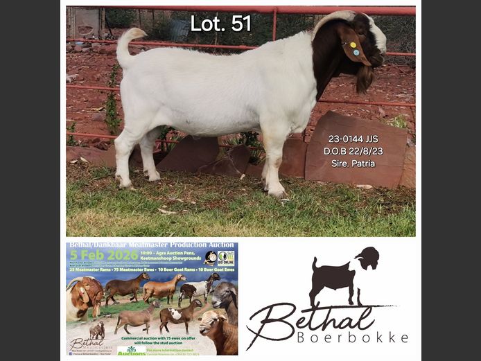 23-0144 JJS | BETHAL BOERBOKKE