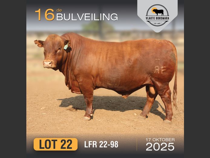 LFR 220098 | LEON RIEKERT & SEUNS
