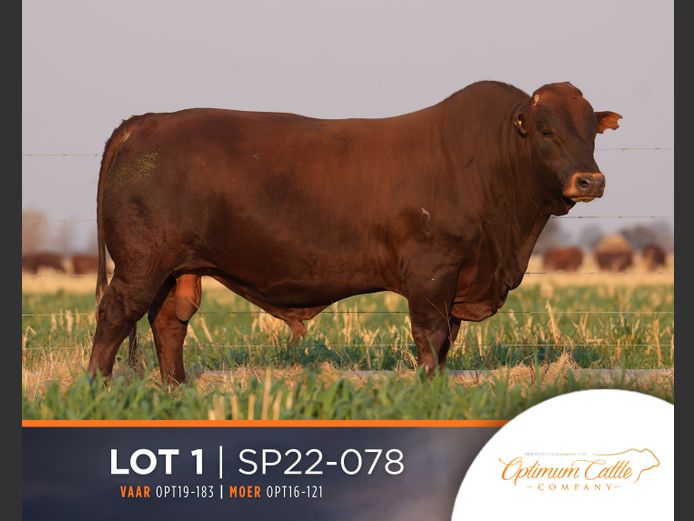 SP  220078