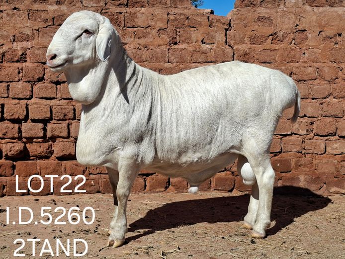 5260 | Francois van Rensburg Farming