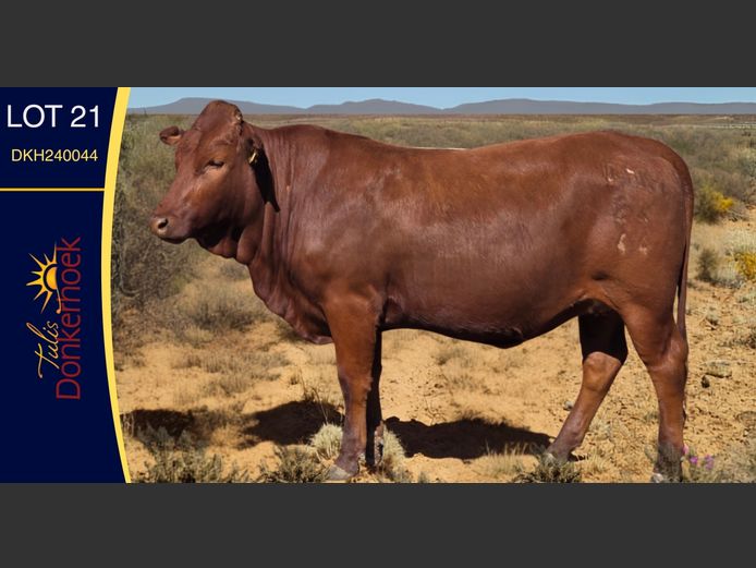 DKH240044 | DONKERHOEK BOERDERY TRUST