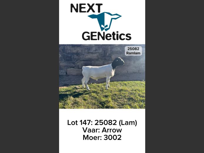 25082 | NEXT GENETICS