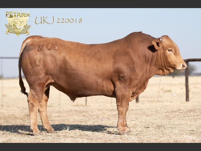 UKJ 220018