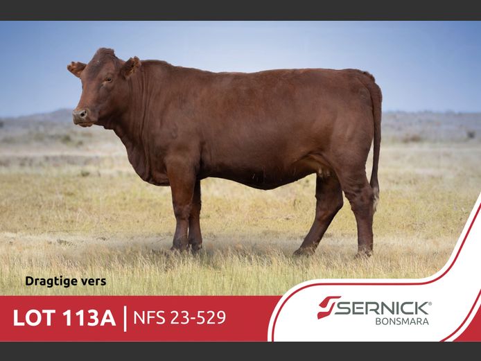 NFS 230529 Pp(c) | SERNICK BONSMARA STOET