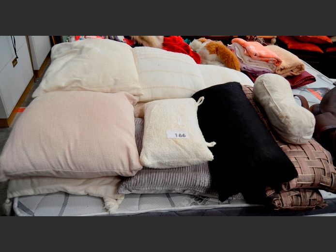 ASSORTED SCATTER CUSHIONS