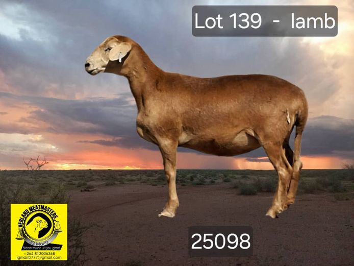 25098 | VERLAND MEATMASTERS