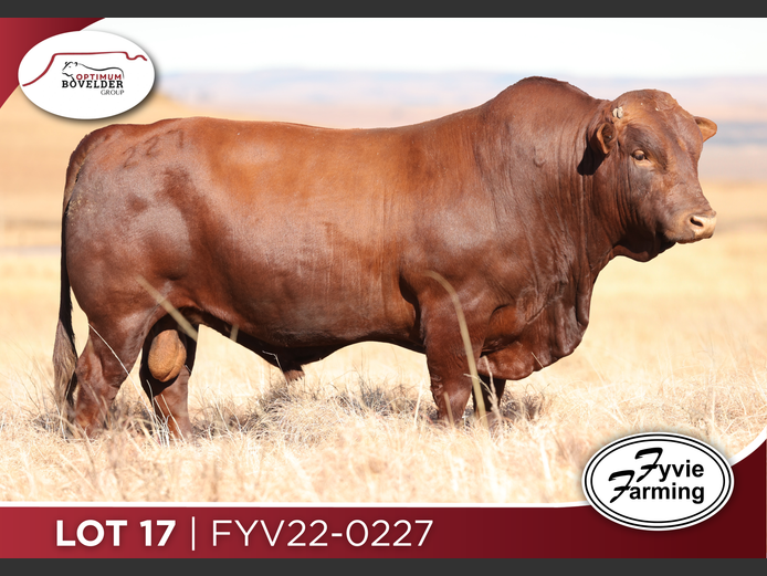 FYV22-0227