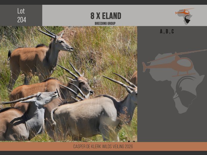Eland