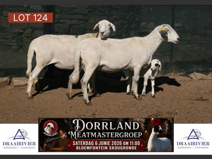 NS23-065 | Draairivier Boerdery