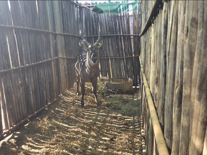 WATERBOK | HANLEY