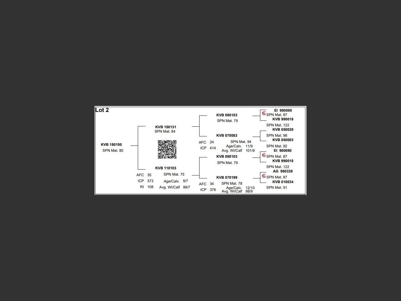 images