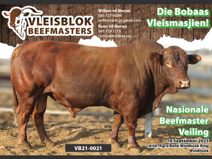 21-0021VB | VLEISBLOCK BEEFMASTER