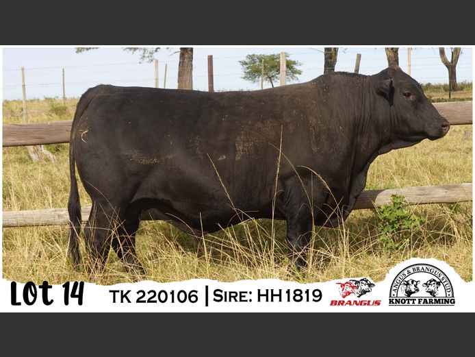 TK 220106