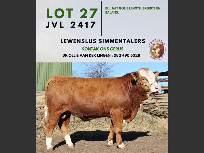 JVL2417 | DR JSH VAN DER LINGEN