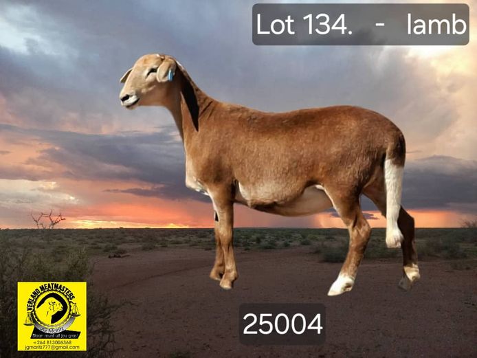 25004 | VERLAND MEATMASTERS