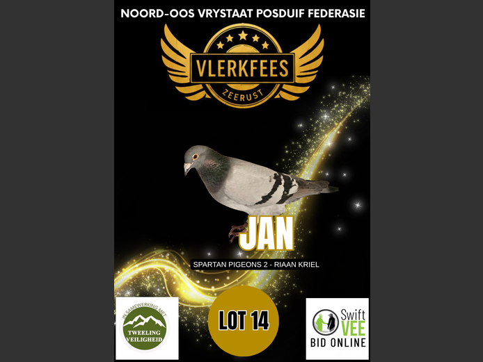 JAN | SPARTAN PIGEONS 2 - RIAAN KRIEL