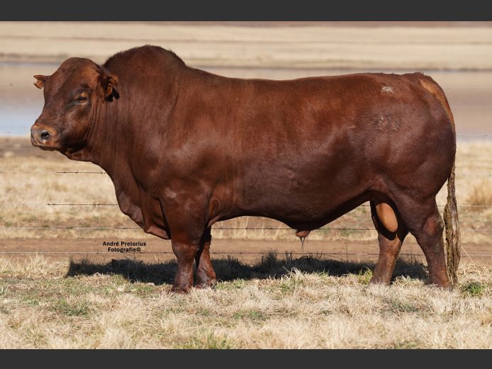 AG200084