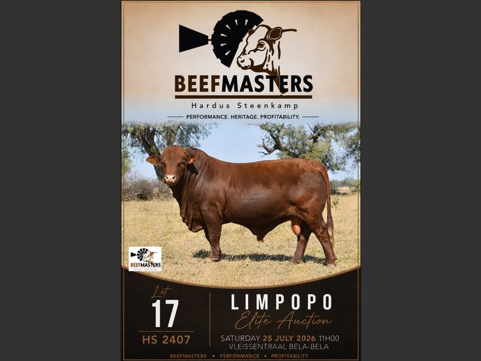 HS240007 | G.A. STEENKAMP