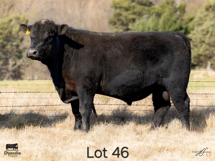 KCM 230145 | TABLE HILL FARMING PTY LTD
