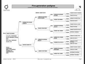 genetic_data